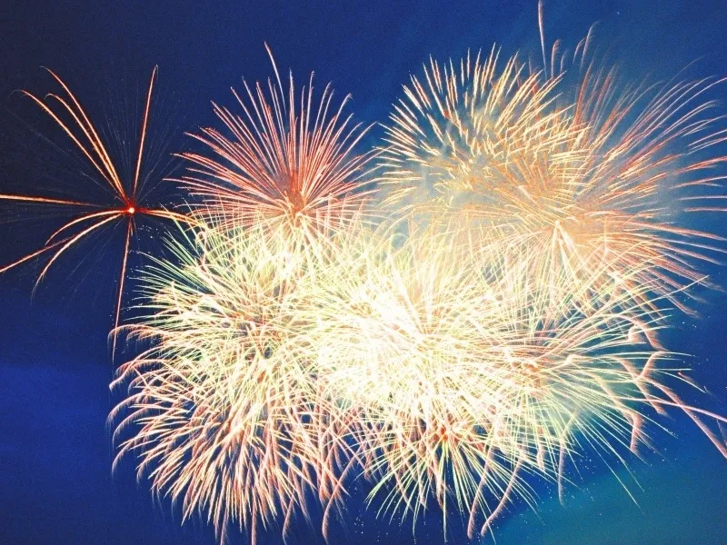 Мая попротская